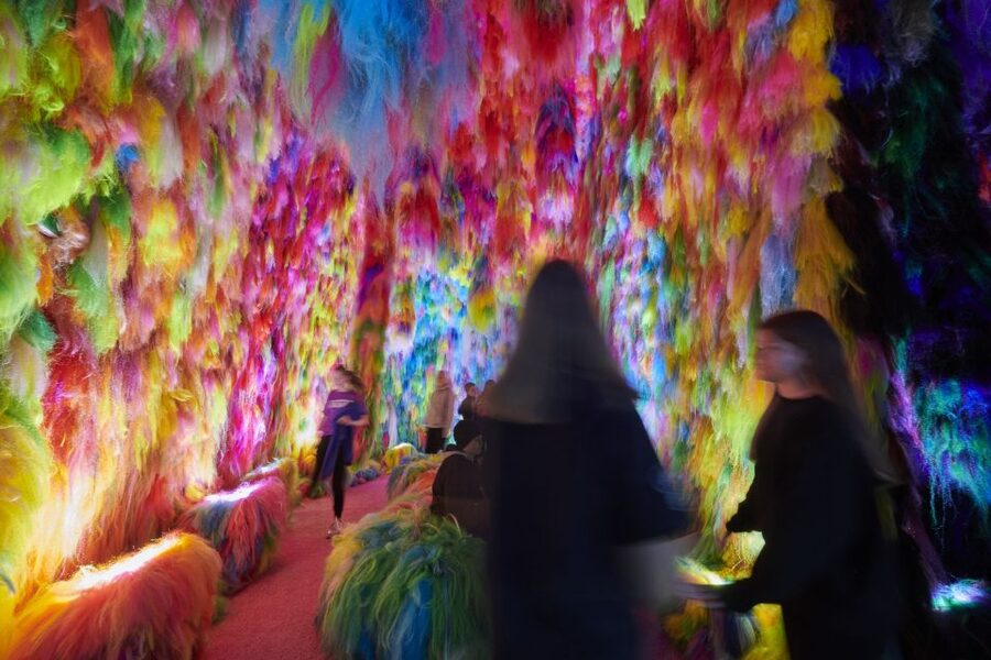 Reykjavík: Multi-Sensory Art Installation Chromo Sapiens - The artist’s explanation can change your second look