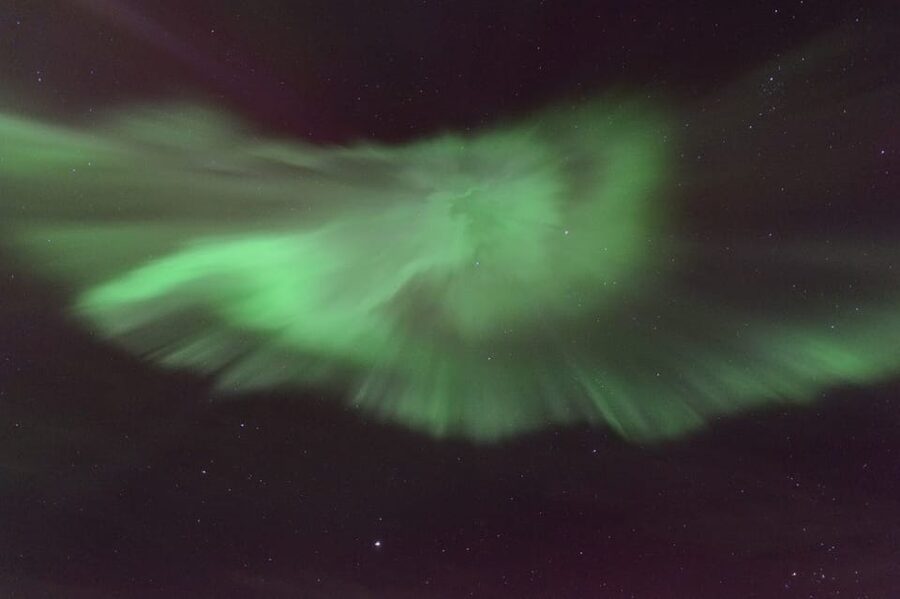 Reykjavík: New Year's Eve Northern Lights Yacht Cruise - Practical details that affect your choice