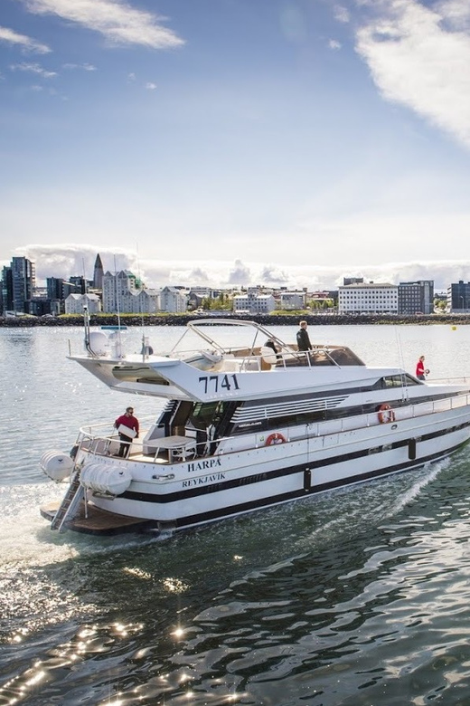 Reykjavík: New Year's Eve Northern Lights Yacht Cruise - Is $140 a fair price?
