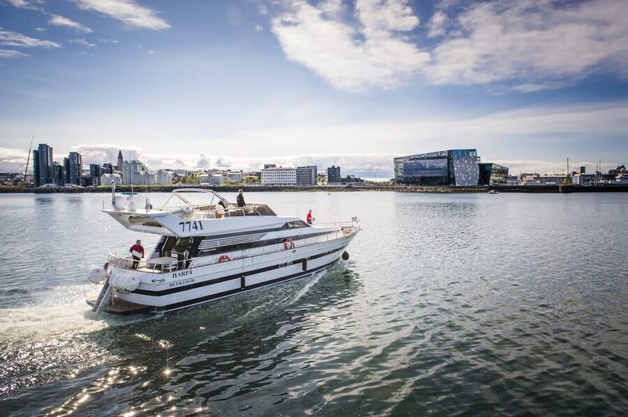 Reykjavík: New Year's Eve Northern Lights Yacht Cruise - Boarding the motor yacht for 1.5 hours