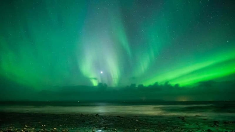Reykjavik: Northern Lights Adventure Tour with Hot Chocolate - The main two-hour search for the aurora