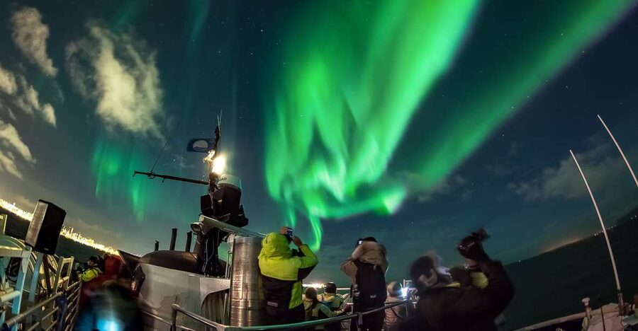 Reykjavik: Northern Lights Guided Boat Tour - Waiting under the North Atlantic sky