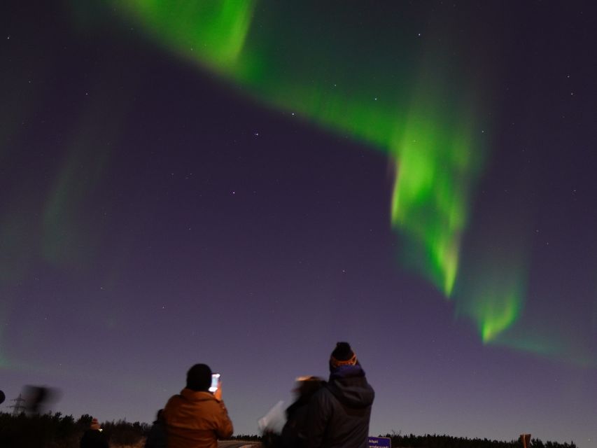 Reykjavik: Northern Lights Tour w/Pro Photos - Small Group - Who should book this small-group tour?