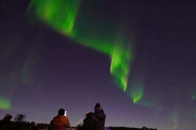 Reykjavik Northern Lights Tour with Pro Aurora Photos Small Group - The professional photos: useful bonus, not magic
