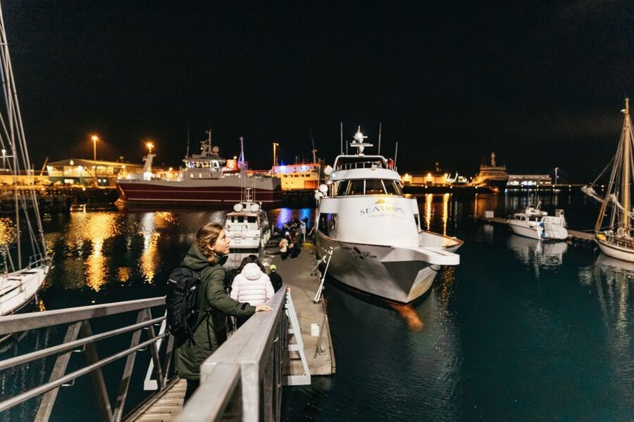 Reykjavik: Northern Lights Yacht Tour - Staying warm without missing the show