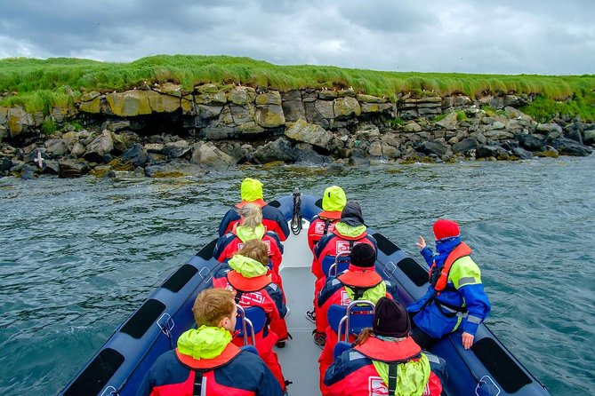 Reykjavik Premium Puffin tour | Close Up and Personal - How close is close enough?