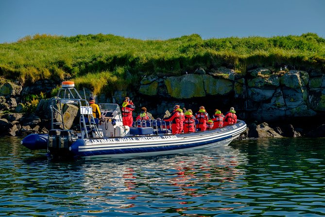 Reykjavik Premium Puffin tour | Close Up and Personal - Safety, comfort, and the weather factor