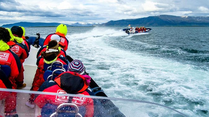 Reykjavik Premium Puffin tour | Close Up and Personal - Who will enjoy this Reykjavik boat trip?