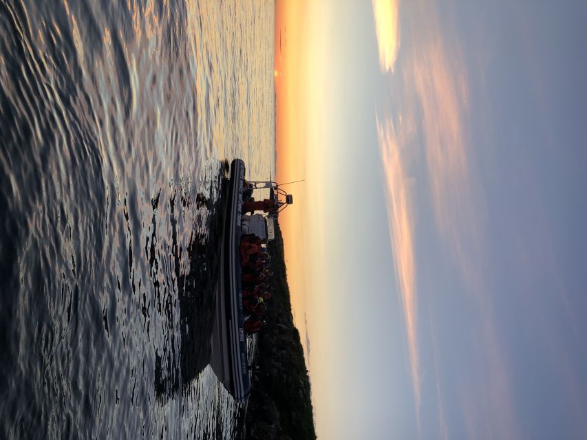 Reykjavik: Premium Whale and Puffin Watching Evening Tour - Booking advice and final verdict