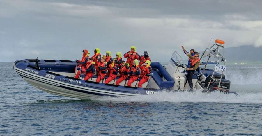 Reykjavik: Premium Whale Watching with Flexible Ticket - Meeting the boat at Reykjavík Old Harbour