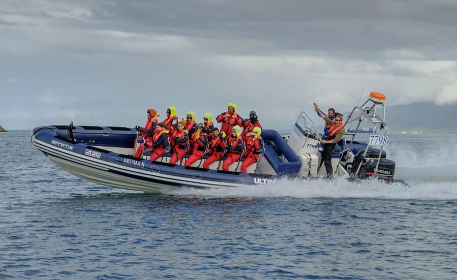Reykjavik: Premium Whale Watching with Flexible Ticket - The RIB ride across Faxaflói Bay