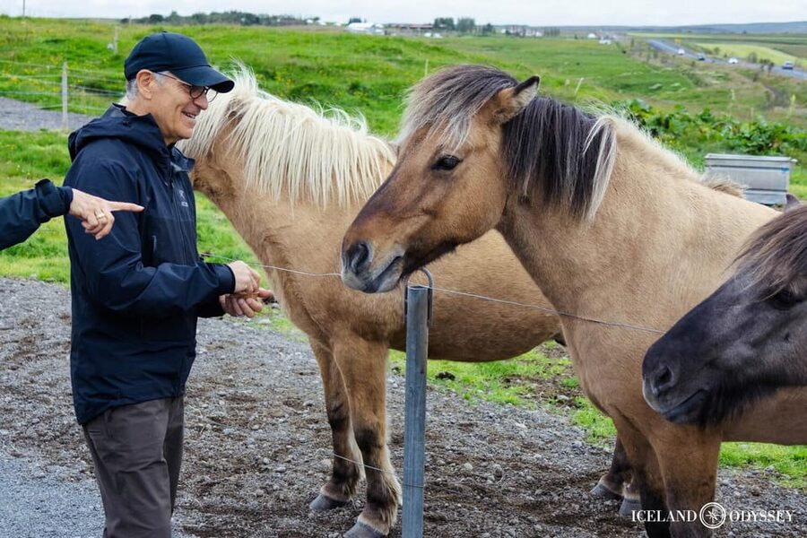 Reykjavik: Private Golden Circle & Secret Lagoon Tour - Gullfoss is the day’s big water stop