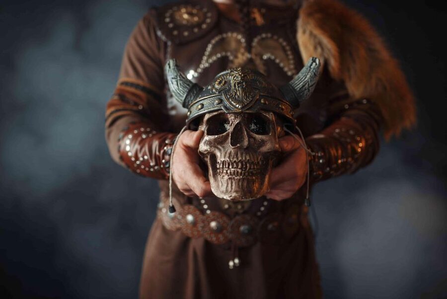 Reykjavik: Private Icelandic Viking Age Walking Tour - Price, private value, and group size
