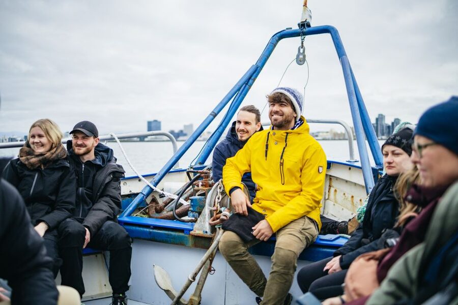 Reykjavik: Puffin Watching Boat Tour - Puffins in Their Natural Setting