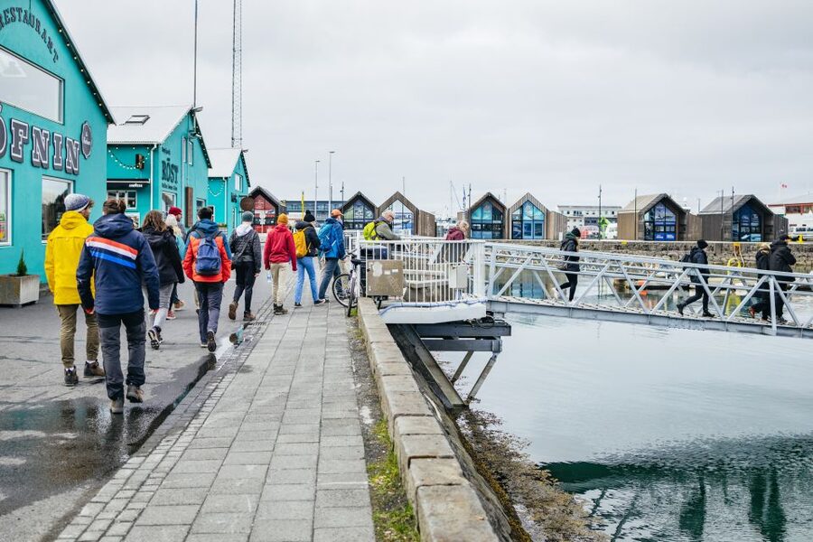 Reykjavik: Puffin Watching Boat Tour - What the Boat Is Like Onboard