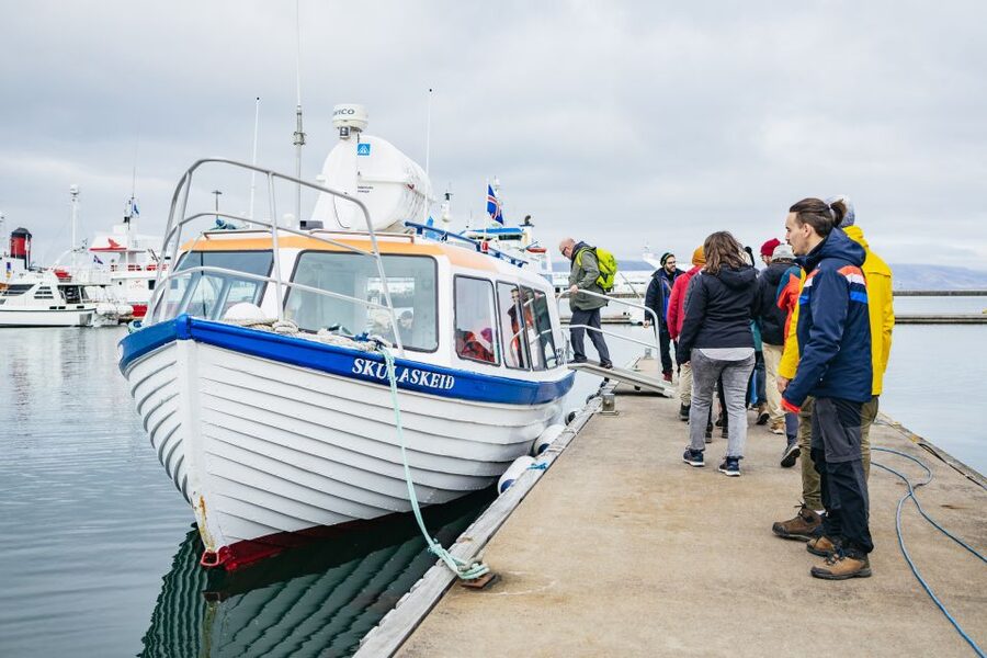 Reykjavik: Puffin Watching Boat Tour - Is One Hour Enough?