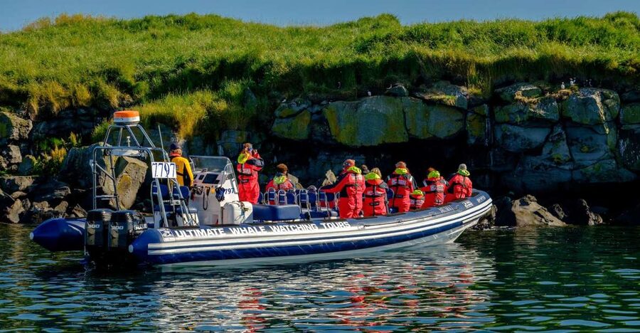 Reykjavik: Puffin Watching Tour - Watching puffins around the nesting islands