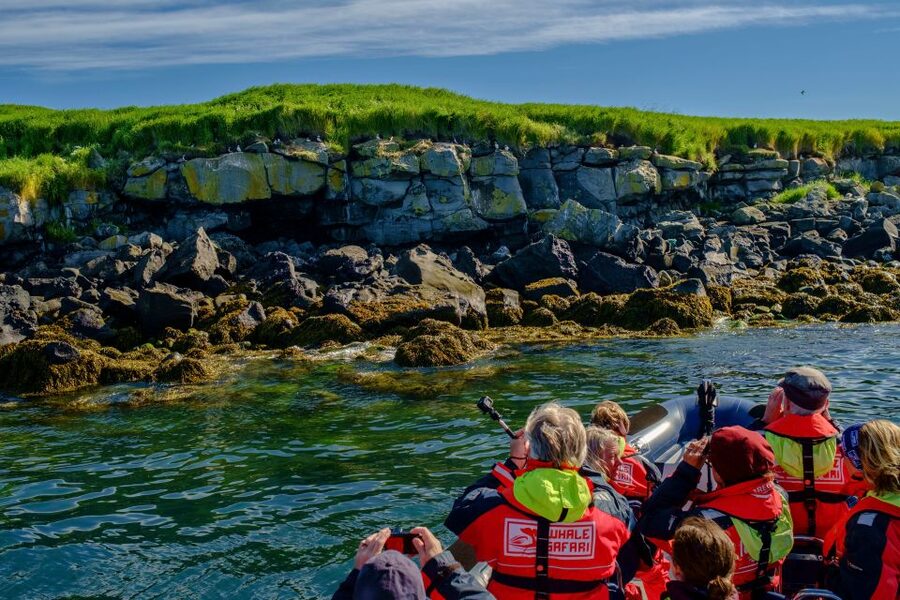 Reykjavik: Puffin Watching Tour - What the guide and captain add