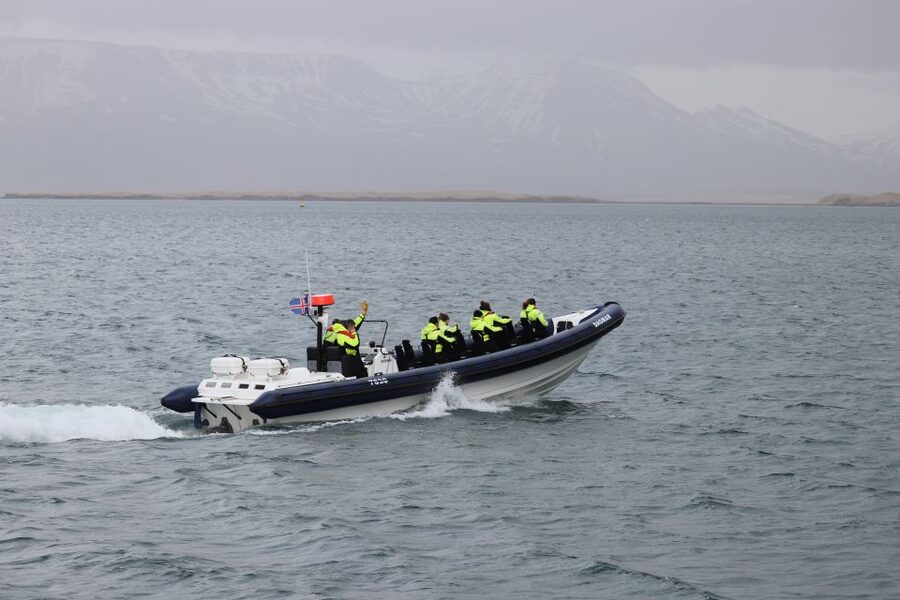 Reykjavik: Puffin Watching Tour by RIB Speedboat - Puffins and the other birds you might see