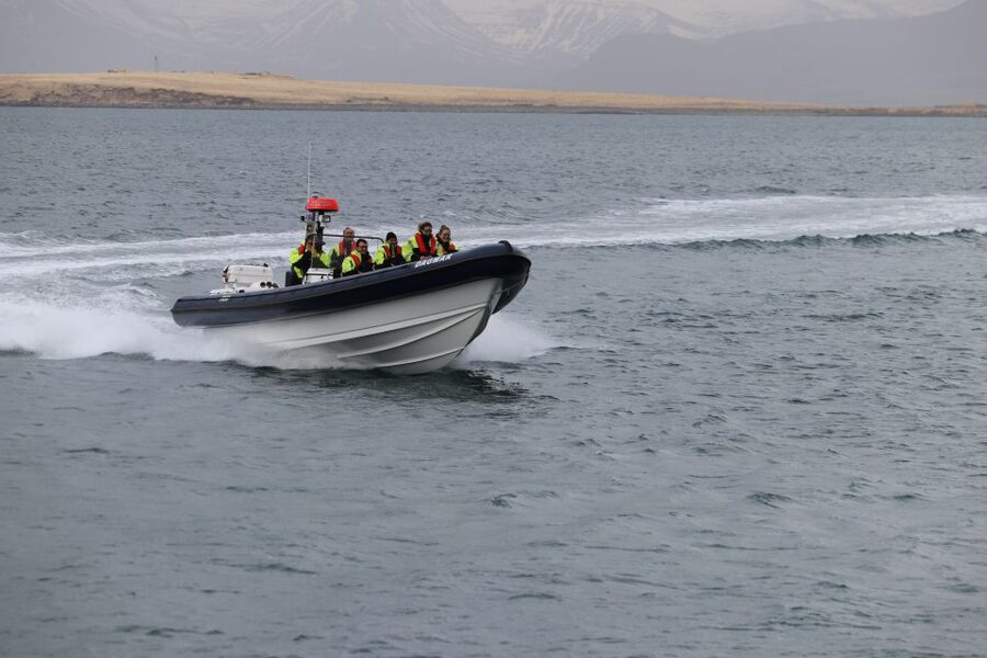 Reykjavik: Puffin Watching Tour by RIB Speedboat - Who should book it, and who should skip it?