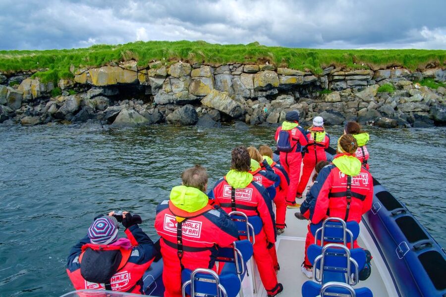 Reykjavik: Puffin Watching Tour - Why the Small Boat Matters