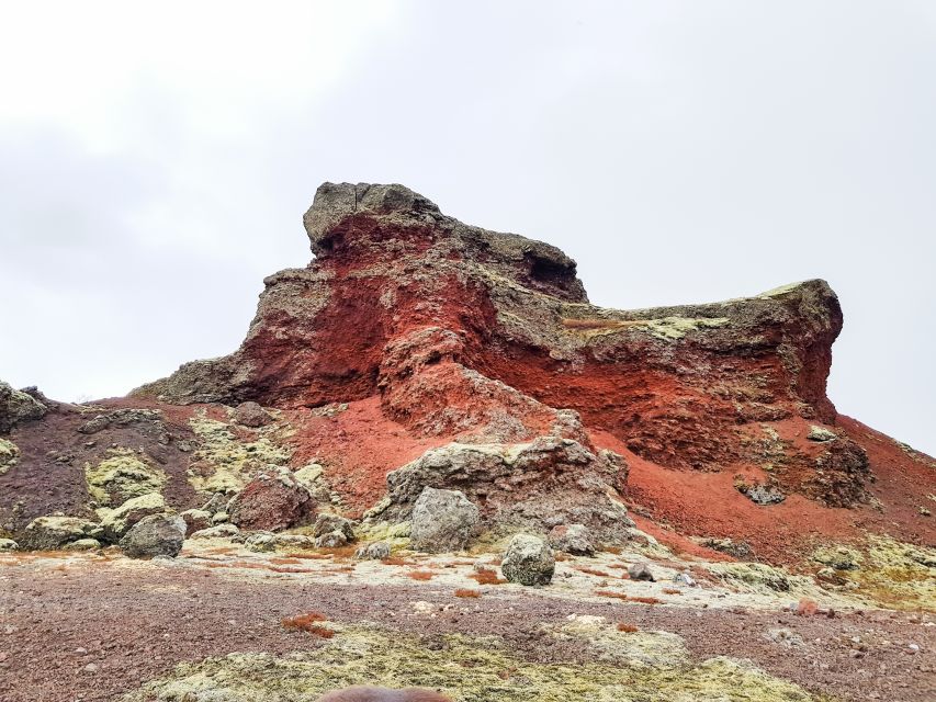 Reykjavik: Red Lava Horse Riding Tour - Meeting the horses and getting ready