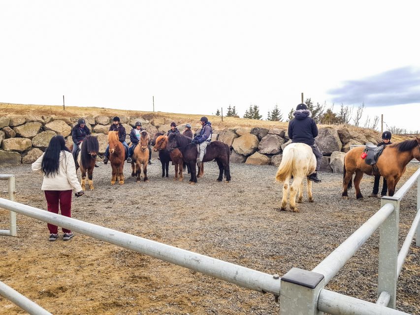 Reykjavik: Red Lava Horse Riding Tour - Riding the Redhills for beginners