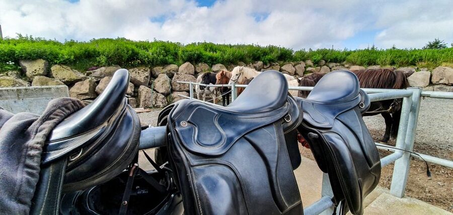 Reykjavik: Red Lava Horse Riding Tour - What the guides and horses add