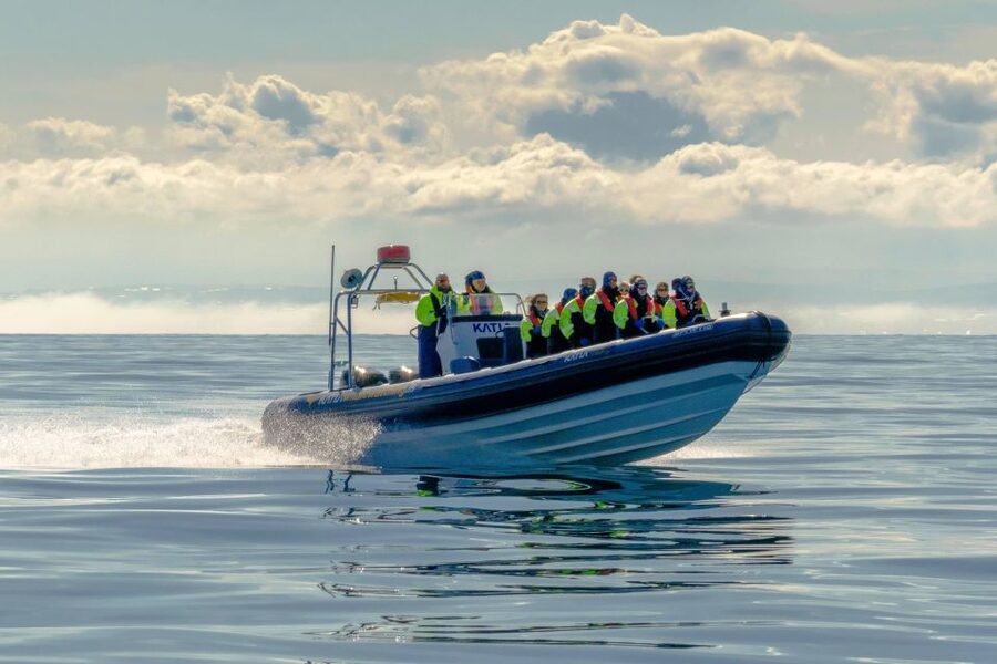 Reykjavík: RIB Speed-Boat Puffin Watching Tour - The guide and the view back toward Reykjavík