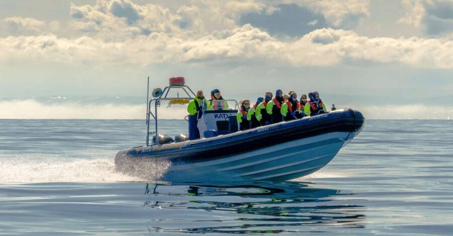 Reykjavík: RIB Speed-Boat Puffin Watching Tour - Should you book the Reykjavík puffin RIB tour?