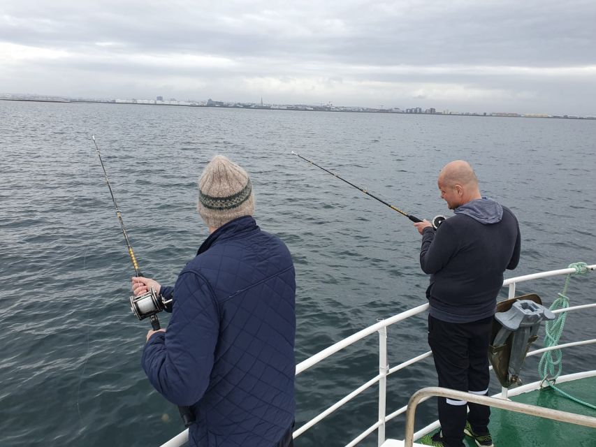 Reykjavik's Finest Catch: Guided Sea Angling Tour - Two hours of fishing in Faxaflói