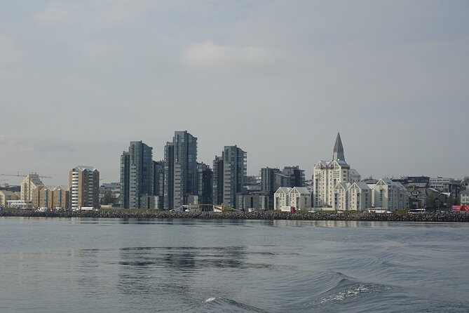 Reykjavik's Finest Catch: Guided Sea Angling Tour for All Levels - A boat that feels personal, with one space concern