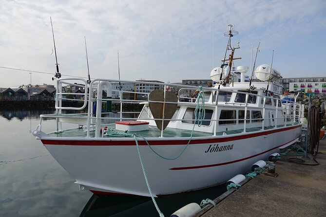 Reykjavik's Finest Catch: Guided Sea Angling Tour for All Levels - Fresh fish grilled on the way back