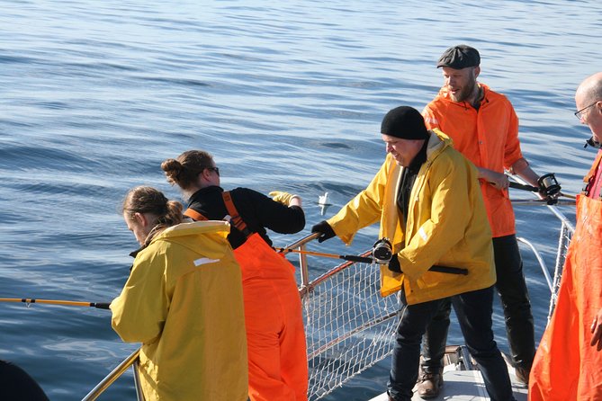 Reykjavik Sea Angling Gourmet - Who should choose this fishing trip?