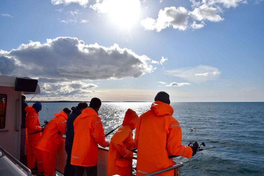 Reykjavik: Sea Fishing Boat Tour & BBQ with the Day's Catch - Final verdict: book it for the catch and the meal