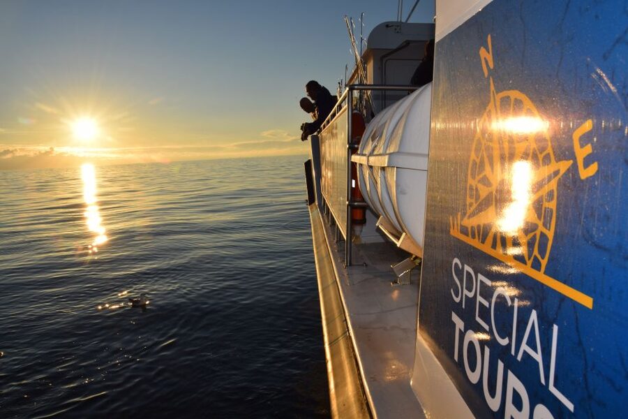 Reykjavik: Sea Fishing Boat Tour & BBQ with the Day's Catch - What the crew does well