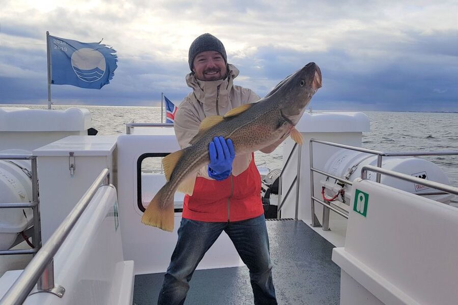 Reykjavik: Sea Fishing Boat Tour & BBQ with the Day's Catch - What the $141 price really buys