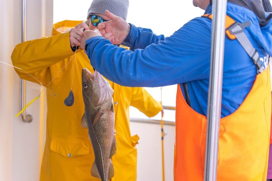 Reykjavik: Sea Fishing Boat Tour & BBQ with the Day's Catch - Getting the line down and the fish up