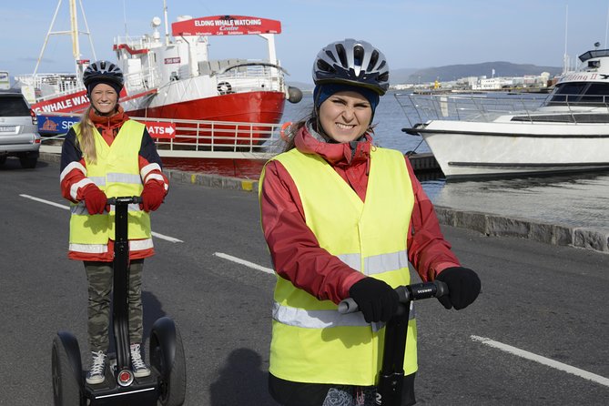 Reykjavik Segway Tour - Harpa and the city center by scooter