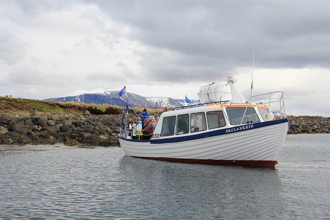 Reykjavik Shore Excursion: Puffin Sightseeing Cruise - Reaching Akurey Island from Reykjavik Harbour