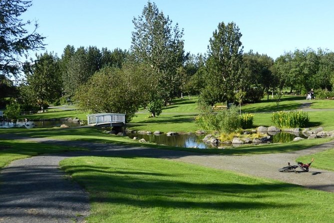 Reykjavik Sightseeing Tour - What this private Reykjavik tour is really for