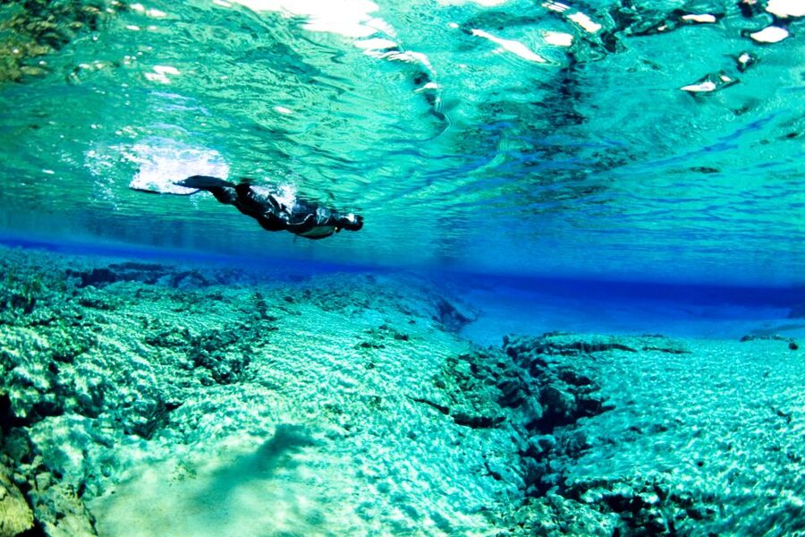 Reykjavík: Silfra Fissure Snorkeling and Lava Caving Tour - Is $202 a fair price?