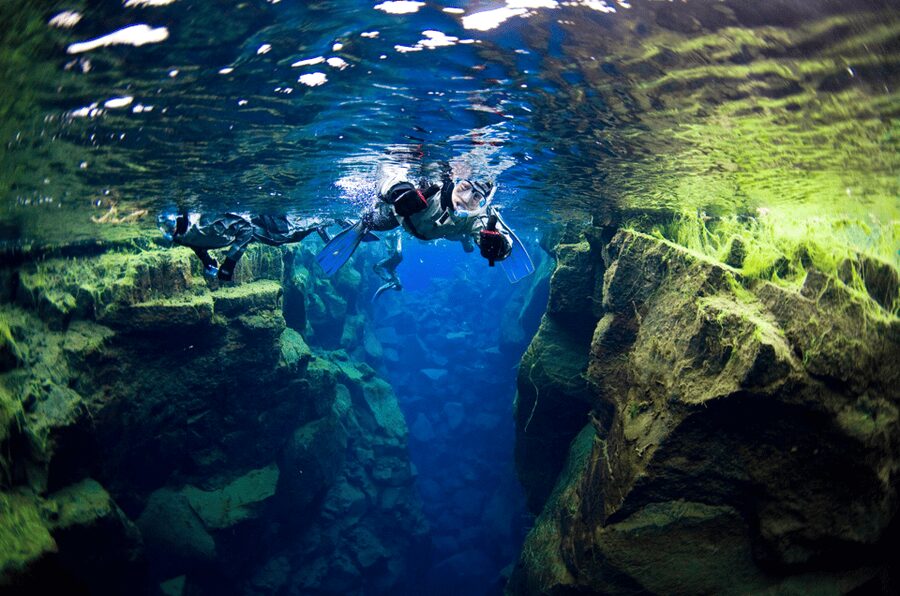 Reykjavík: Silfra Fissure Snorkeling between Two Continents - Final verdict: book it for geology, not wildlife