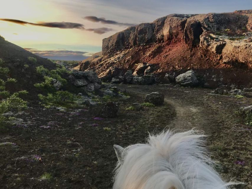 Reykjavik: Small-Group Horse Volcano Riding Tour with Pickup - Choosing the right Icelandic horse for your ability