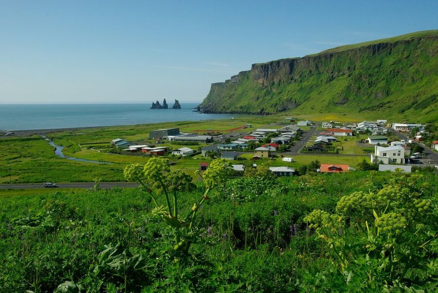 Reykjavik: South Coast Private Guided Day Tour - Reynisfjara: black sand, basalt, and serious waves