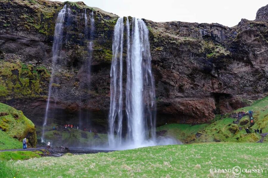 Reykjavik: South Coast, Waterfalls, Black Beach Private Tour - Photos, admission, and what is included