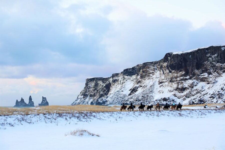 Reykjavik: South Coast Waterfalls & Glacier Small-Group Tour - Sólheimajökull: close views of retreating ice