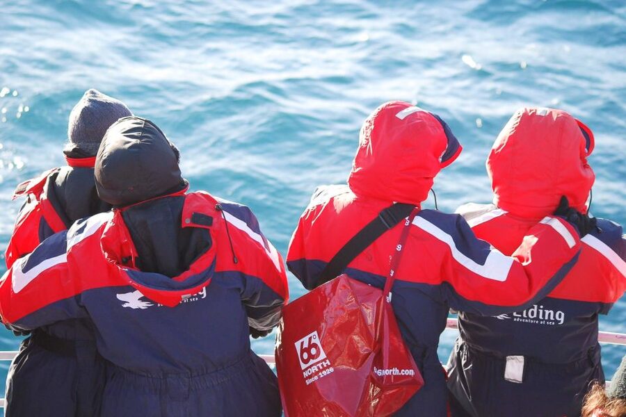 Reykjavik: the Original 3-Hour Whale Watching Tour - How the season changes the experience