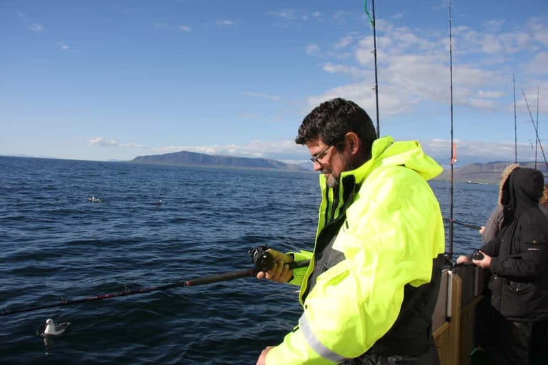 Reykjavik: Traditional Sea Fishing with BBQ Feast - Group size, guides, and atmosphere