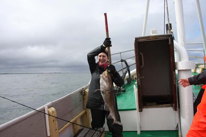 Reykjavik: Traditional Sea Fishing with BBQ Feast - Value at $170 per person